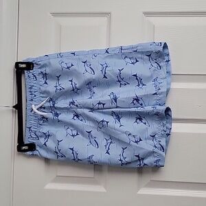Place Sport Boy's Swim Trunks